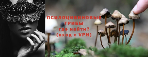 альфа пвп Куйбышев